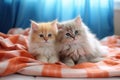 Cute kittens on fluffy plaid home. Generate Ai