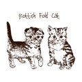 Cute kittens hand drawn sketch vector illustration, cute fluffy cat.