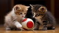 Cute kittens playing with small soccer ball