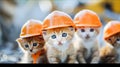 Cute kittens wearing orange construction safety helmets exploring and playing at a construction site or worksite Royalty Free Stock Photo