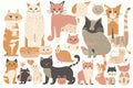 Cute kitty cat vector illustration set with different cat breeds Royalty Free Stock Photo