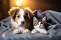 Cute kitty and puppy cudgeling together isolated .generative AI Royalty Free Stock Photo