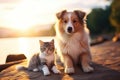 Cute kitty and puppy cudgeling together isolated .generative AI Royalty Free Stock Photo