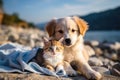 Cute kitty and puppy cudgeling together isolated .generative AI Royalty Free Stock Photo