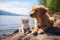 Cute kitty and puppy cudgeling together isolated .generative AI Royalty Free Stock Photo