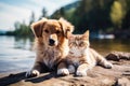 Cute kitty and puppy cudgeling together isolated .generative AI Royalty Free Stock Photo