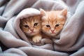 Cute kitty and puppy cudgeling together isolated .generative AI Royalty Free Stock Photo