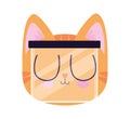 cute kitty with safety mask Royalty Free Stock Photo