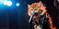 Cute Kitty Singing Glam Metal On Stage, Glorious Performance Royalty Free Stock Photo