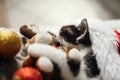 Cute kitty sleeping in santa hat on bed with gold and red christ