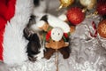 Cute kitty sleeping in santa hat with reindeer toy on bed with g Royalty Free Stock Photo