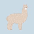 Cute knitted alpaca