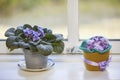 Cute knitted violet toy on the windowsill