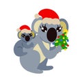 Cute koala with baby on back with festive caps and christmas tree in paws. Vector illustration isolated on white