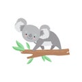 Cute Koala Bear Climbing on Tree Branch, Lovely Grey Animal Character Vector Illustration