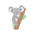 Cute Koala Bear Climbing Tree, Funny Grey Animal Character Vector Illustration Royalty Free Stock Photo