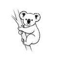 Cute koala bear hugging a tree branch hand drawn sketch isolated on transparent background Royalty Free Stock Photo
