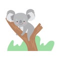 Cute Koala Bear Sitting on Tree Branch, Funny Grey Animal Character Vector Illustration Royalty Free Stock Photo
