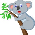 Cute koala cartoon Royalty Free Stock Photo