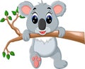 Cute koala cartoon