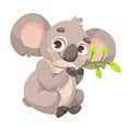 Cute Koala Character with Large Ears and Nose Sitting with Eucalyptus Leaf Vector Illustration