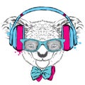 Cute koala on headphones. Music.