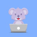 Cute Koala Working with Laptop Royalty Free Stock Photo
