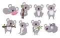 Cute koalas. Cartoon mascot, bear with eucalyptus tree branch and sitting koala vector Illustration set Royalty Free Stock Photo