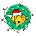 Labrador in santa hat with christmas lights Royalty Free Stock Photo