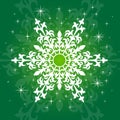 Cute lacy snowflake on green background.