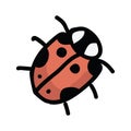 Cute ladybird cartoon vector illustration motif set. Hand drawn garden insect blog icons. ladybug graphics Royalty Free Stock Photo