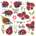 Cute ladybird set, funny little insect collection Royalty Free Stock Photo
