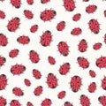 Cute ladybirds seamless pattern. Vector Print for kids textile, wrapping or wallpaper design