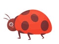 Cute ladybug beetle