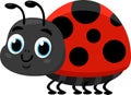 Cute Ladybug Cartoon Character