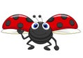 Cute ladybug cartoon flying