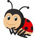 Cute ladybug cartoon