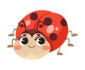 Cute Ladybug Character with Spotted Wings Crawling and Creeping Vector Illustration