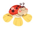 Cute Ladybug Character with Spotted Wings Sleep on Flower Vector Illustration