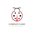 Cute ladybug or ladybird simple flat design red and black. Vector illustration isolated on white background Royalty Free Stock Photo