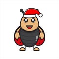 cute ladybug mascot on christmas day