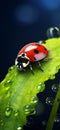 cute ladybug sitting on leaf close-up shot generative AI Royalty Free Stock Photo