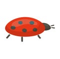 Cute ladybug vector illustration on a white background, simple cartoon style ladybird. Insect and nature, spring and