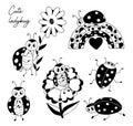 Cute ladybugs. Collection small insect ladybird on rainbow and flower. Vector illustration. Isolated hand drawings