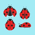 Cute Ladybugs Icon Set