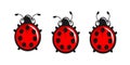 Cute Ladybugs - three different tentacles Royalty Free Stock Photo