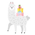 Cute lama. Alpaca animal