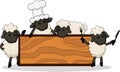 Cute lamb cooks