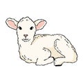 Cute lamb doodle. Hand drawn image of a small sheep