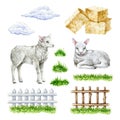 Cute lamb farm set. Hand drawn illustration. Cute little newborn sheep, green grass, fence, hay, clouds. Domestic farm Royalty Free Stock Photo
